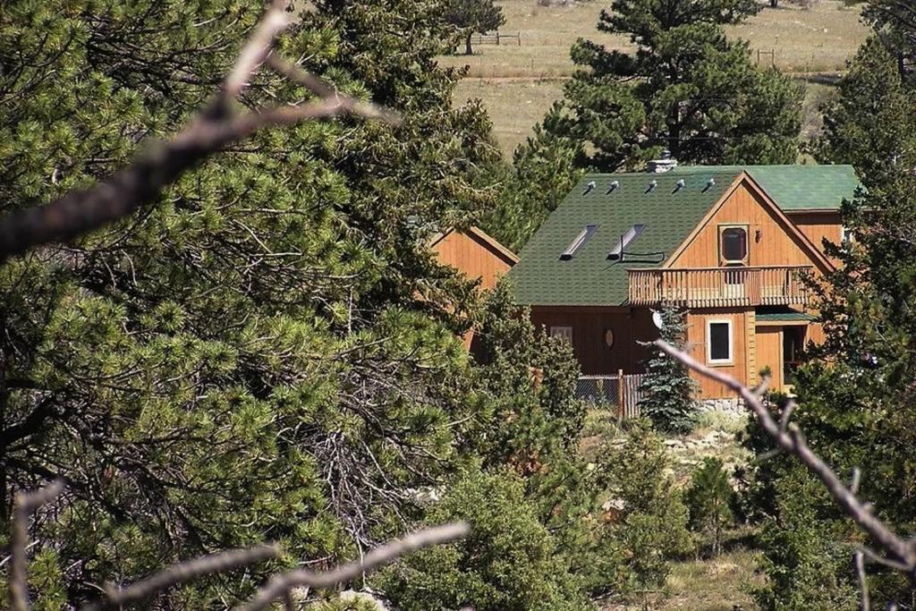 Laughing Place, Drake