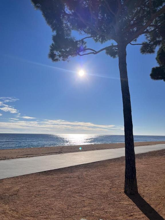 Penthouse in Platja d Aro Front Sea with Parking - 2