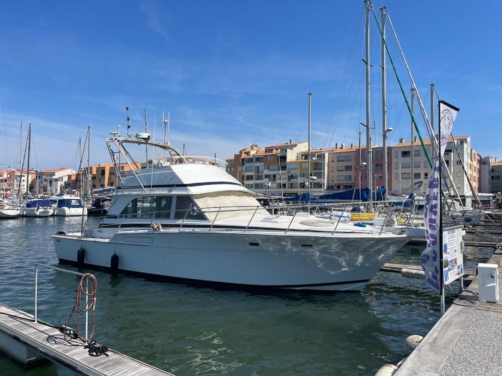 Entire Boat Center Port of Cap Agde - 2