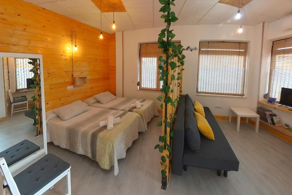 Estudio Mota, San Cristóbal de Entreviñas