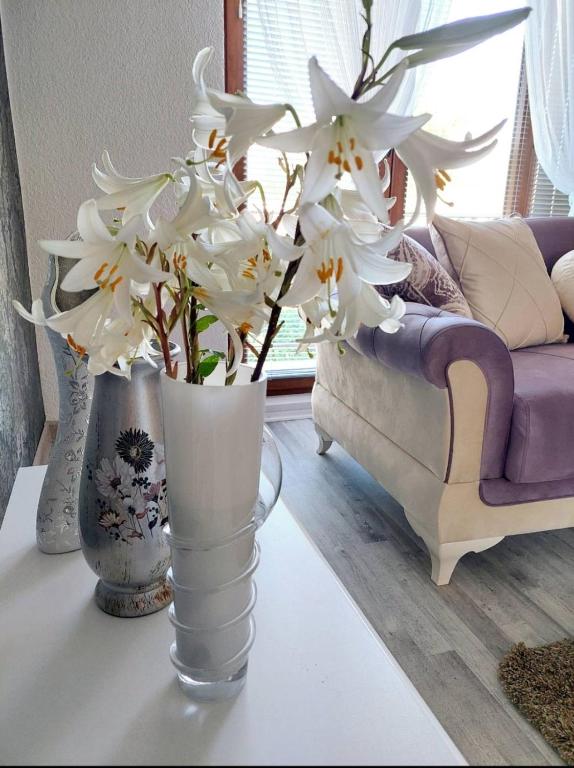 Apartman STARI GRAD, Bihać