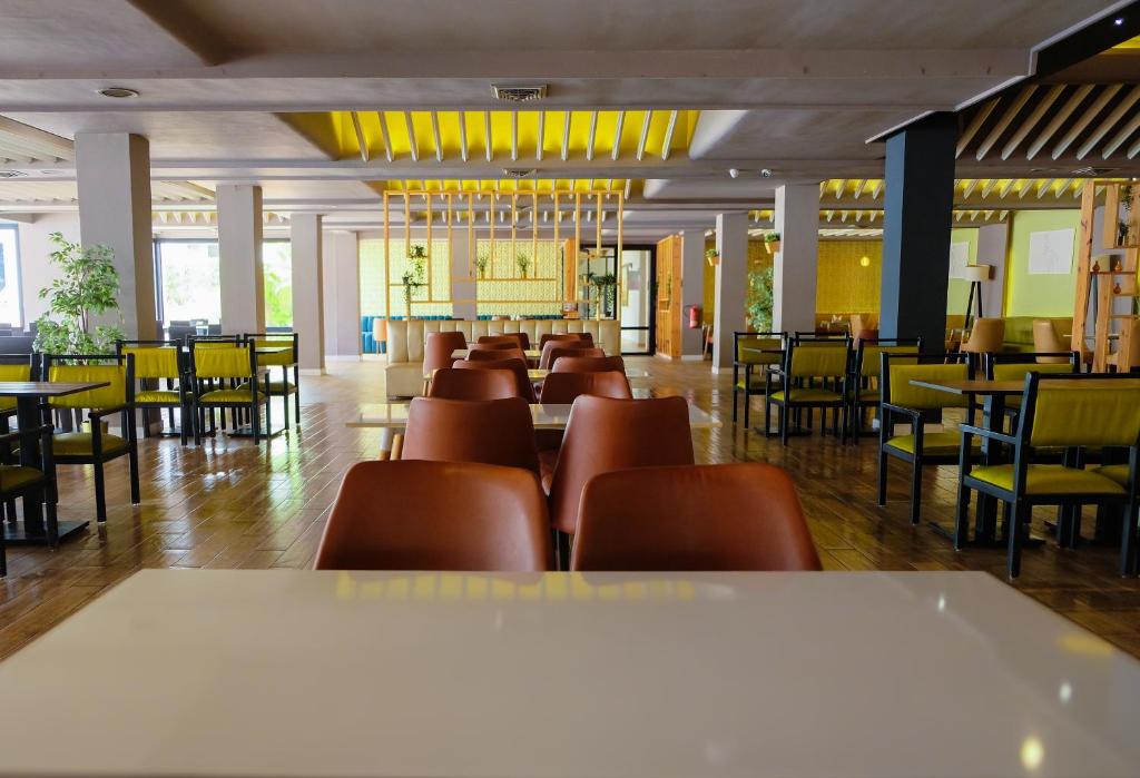 해밀턴 아가디르 (HAMILTON Agadir)