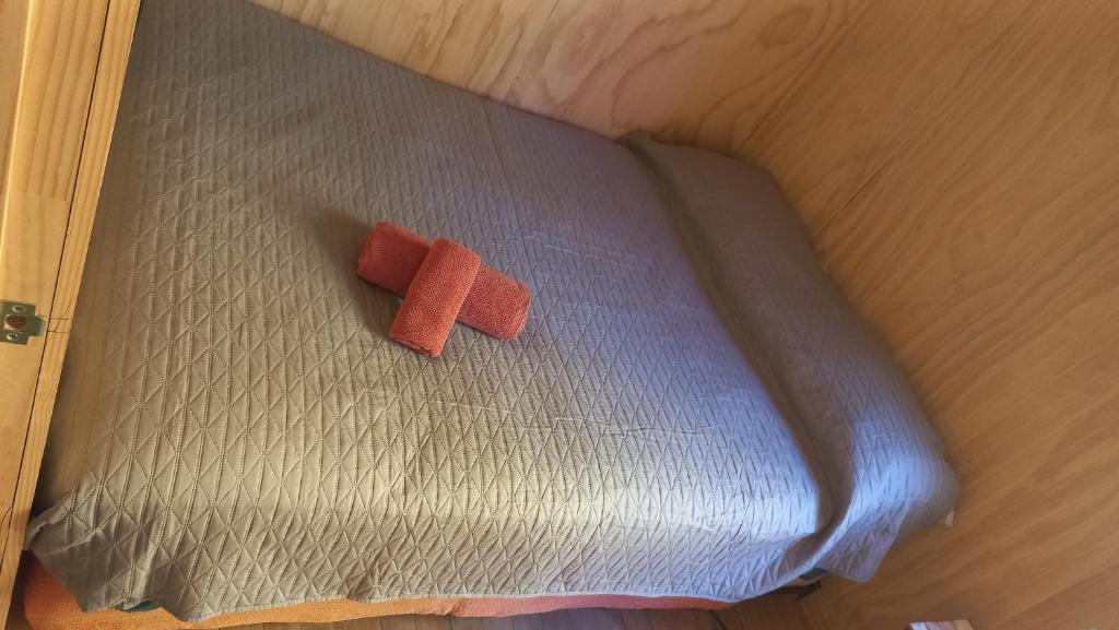 Cabañas Aliwen Lonquimay - 4