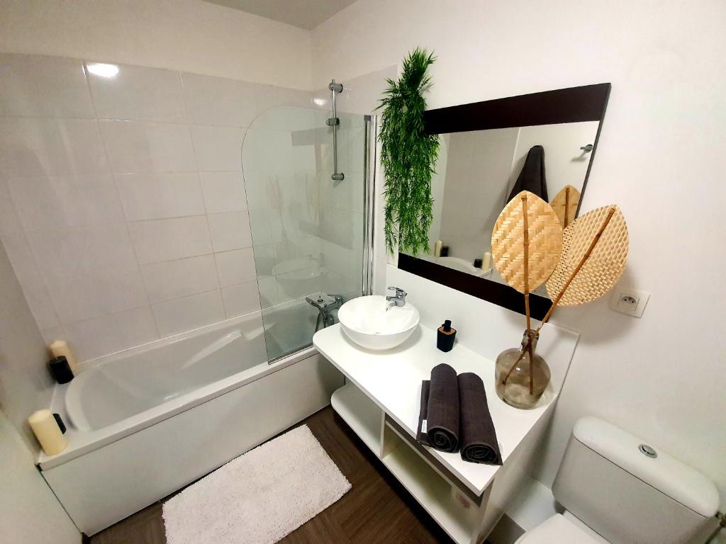 Appartement T2 climatisé Piscine - 4
