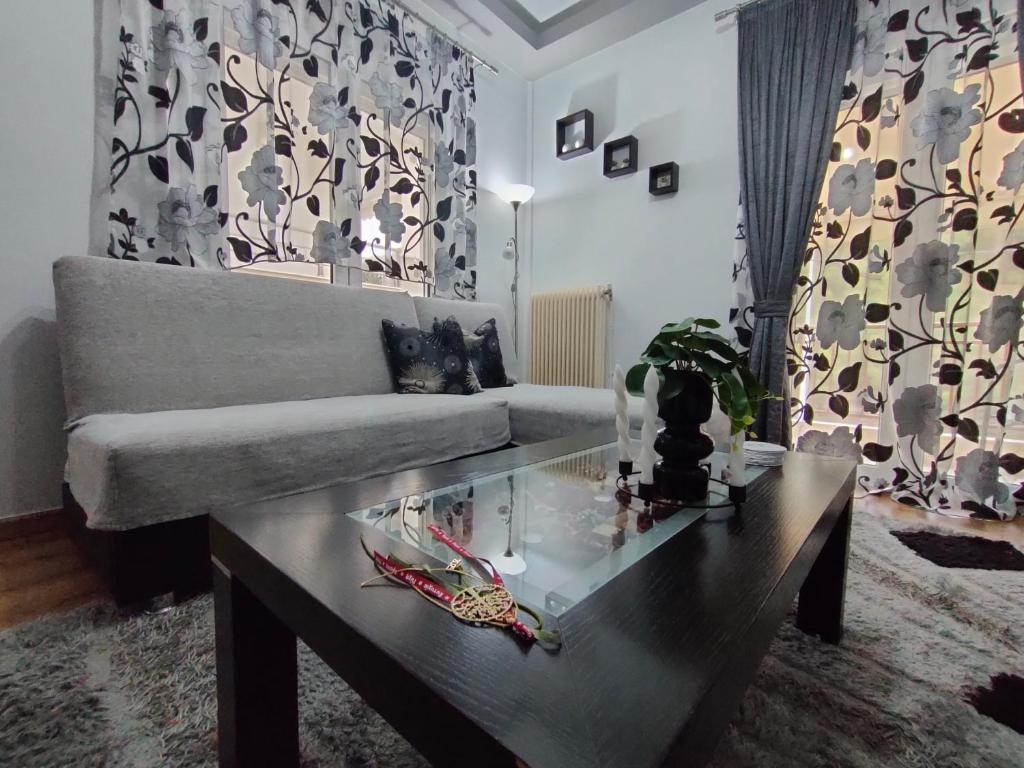 Crestio apartment Καστοριά, Kastoria