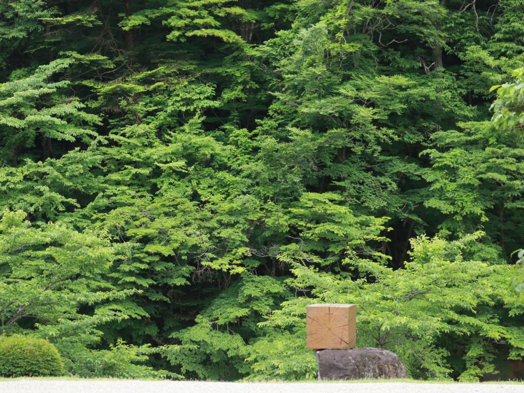 Surrounding environment