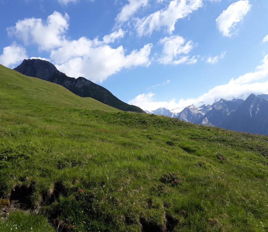 Sonnenhof - 5