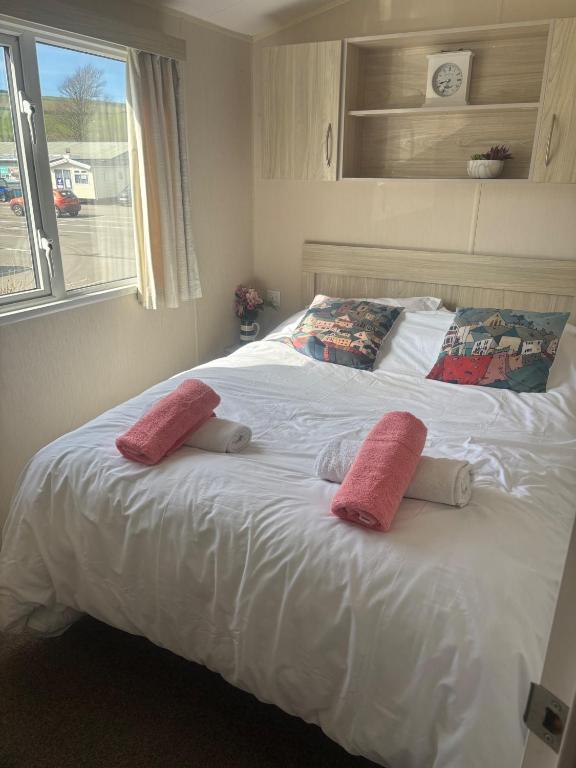 Newquay Bay 3-Bed Caravan, Sleeps 6 photo 2