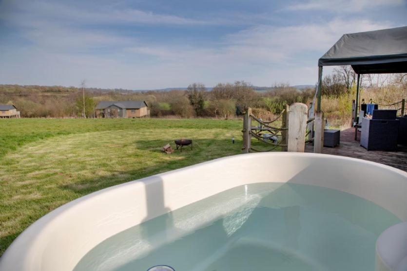 Treecreeper - Kittisford Barton, Wellington