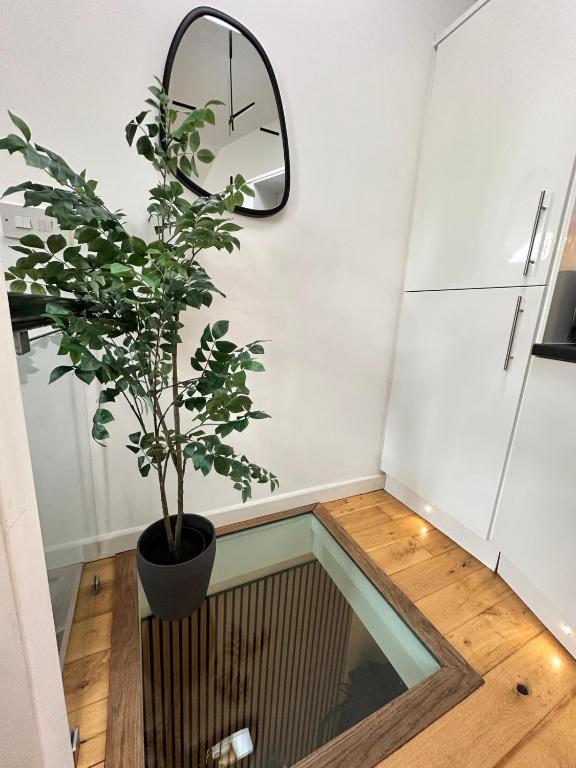 The Central Nook Garden