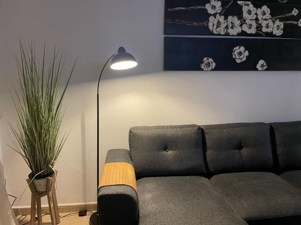 Linmarko apartamento en centro de Torrevieja - 3