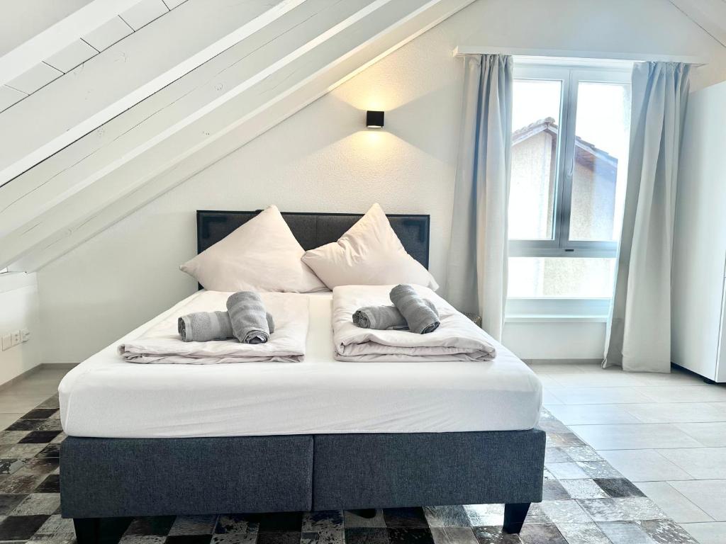 Loft apartment in a central location, Winterthur