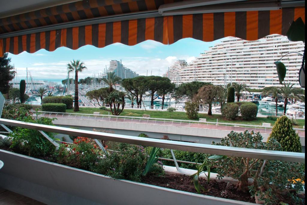 Au coeur de Marina baie des anges - 1