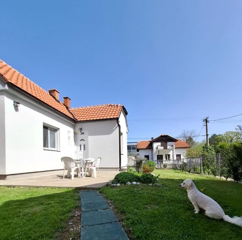 Apartman Stanic Banja Koviljaca - 4