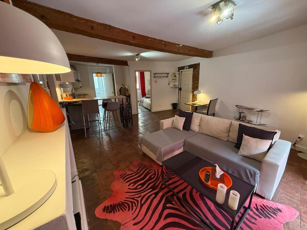 Appartement hyper-centre - Pont Neuf - St Cyprien - 4