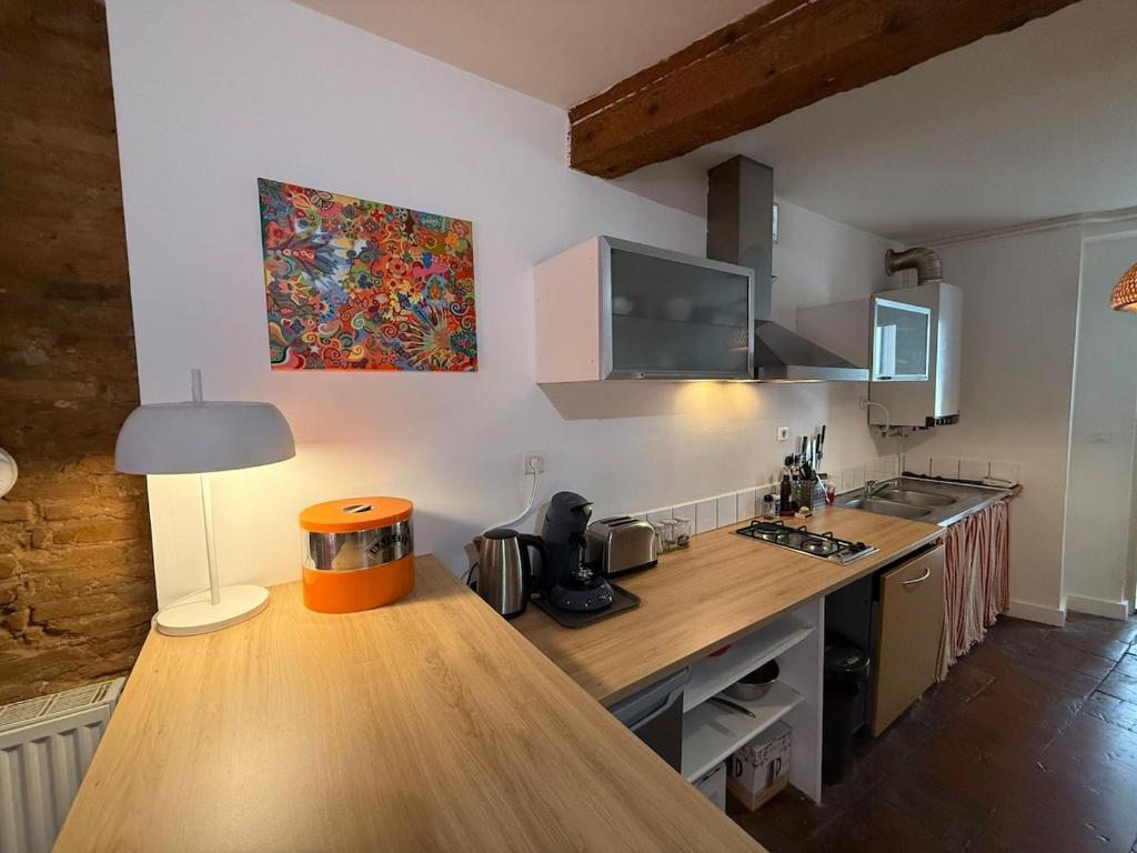 Appartement hyper-centre - Pont Neuf - St Cyprien - 5
