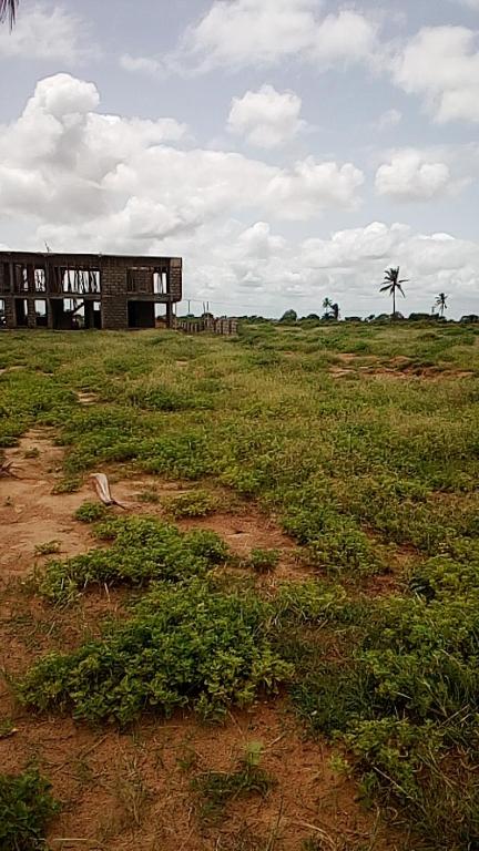 Paradise, Lekponguno