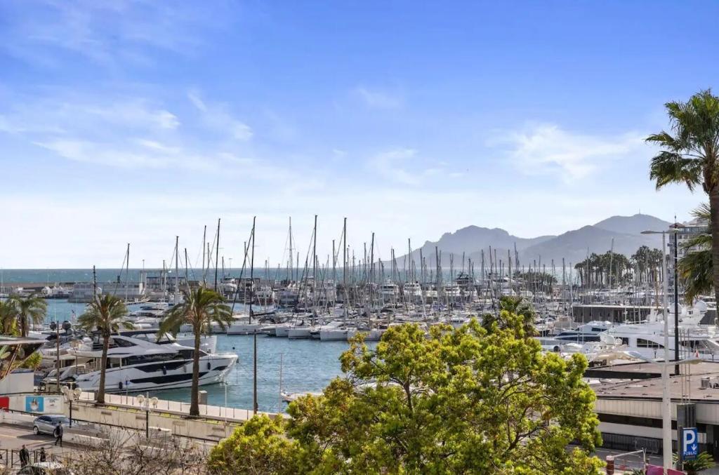 LES SUITES DU PALAIS sur LA CROISETTE - Vue MER - 4