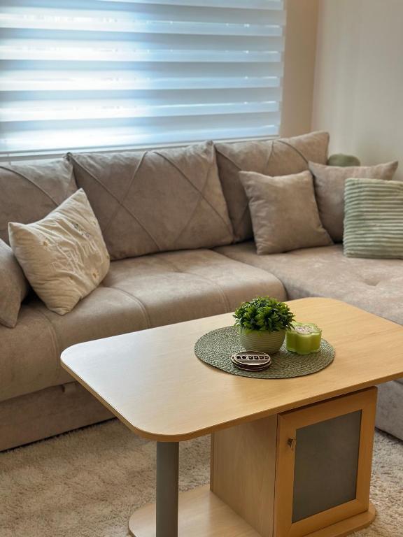 Apartman u centru Niša, Niš