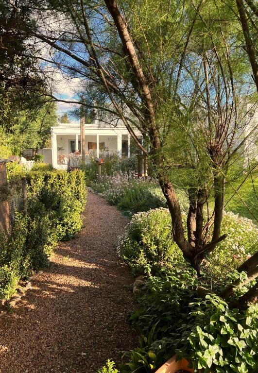 Tree House, McGregor