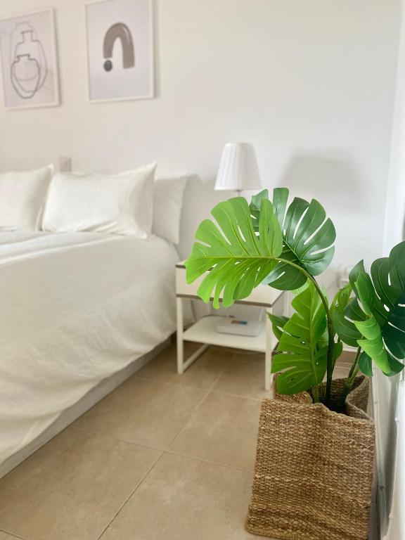 520 Estudio en Minerva Vista al Jardín - Playa a 700 metros - 4