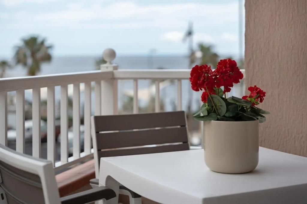 Apartamento Bonjour - 1