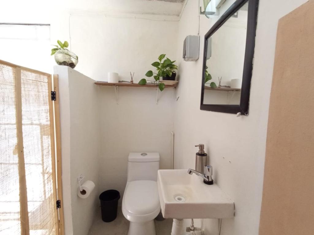Casa Ha Hostal - 2
