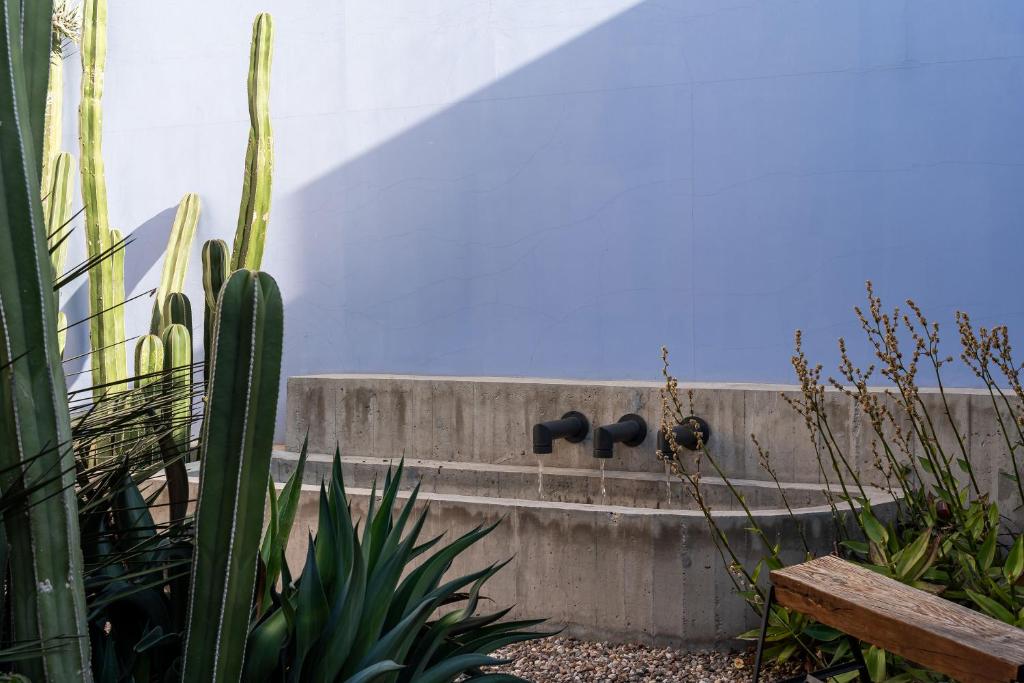 Casona del Buen Huerto, Modern 2BR Home in Queretaro - 4