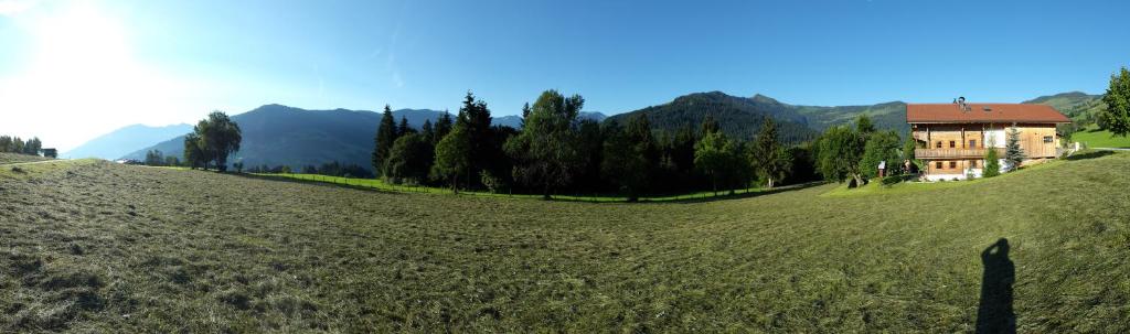 Schrandl Apartment Penningberg - 5