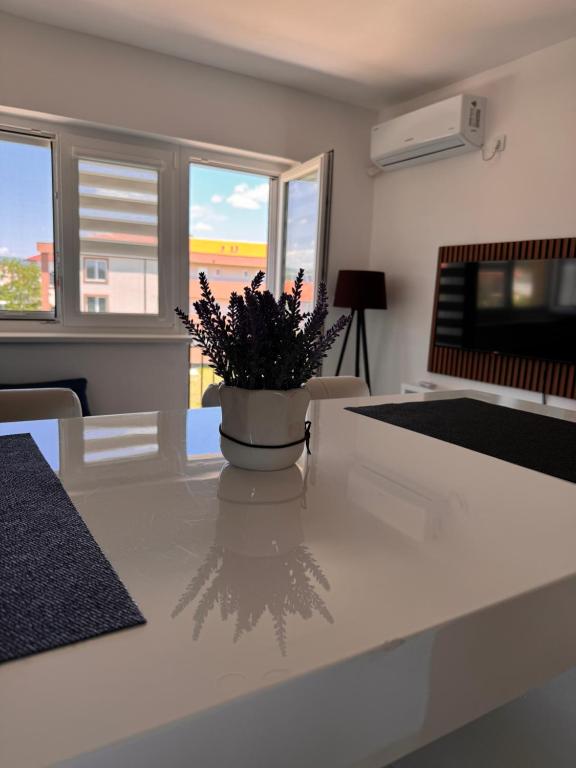 App HAMI, Veliko Gradište