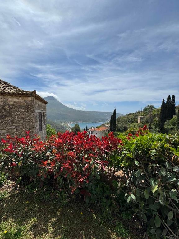 Mani Stone Studios, Oítilon