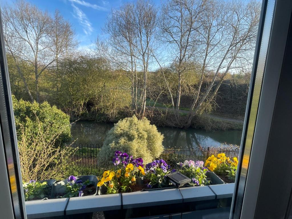 Private Room in Cozy Shared Apartment, Rugby