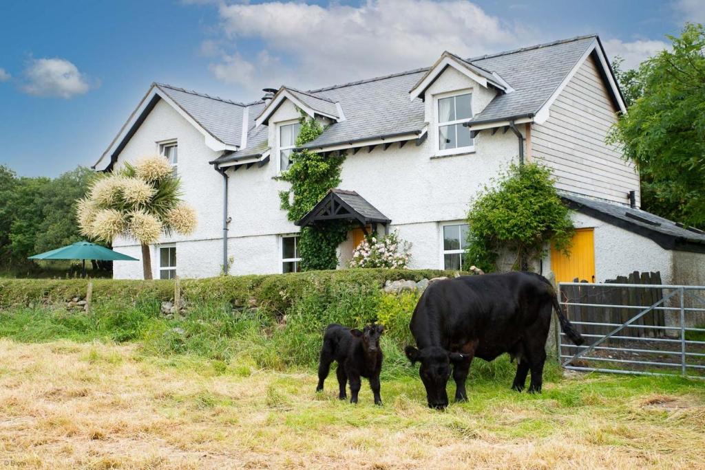 Perthi-Uchaf, Cwm-y-glo