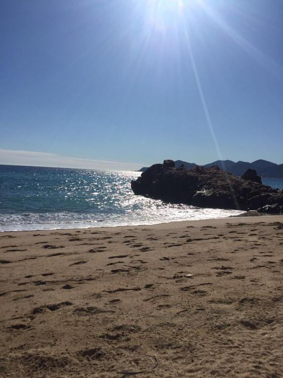 Cannes plage - avec terrasse, vue, mer, piscine, plage, garage - 2