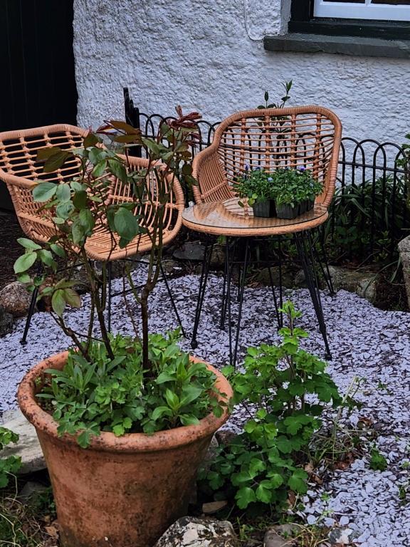 Blea Tarn Farmhouse B&B photo 7
