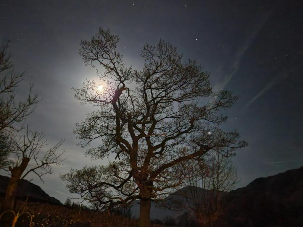 Blea Tarn Farmhouse B&B photo 8