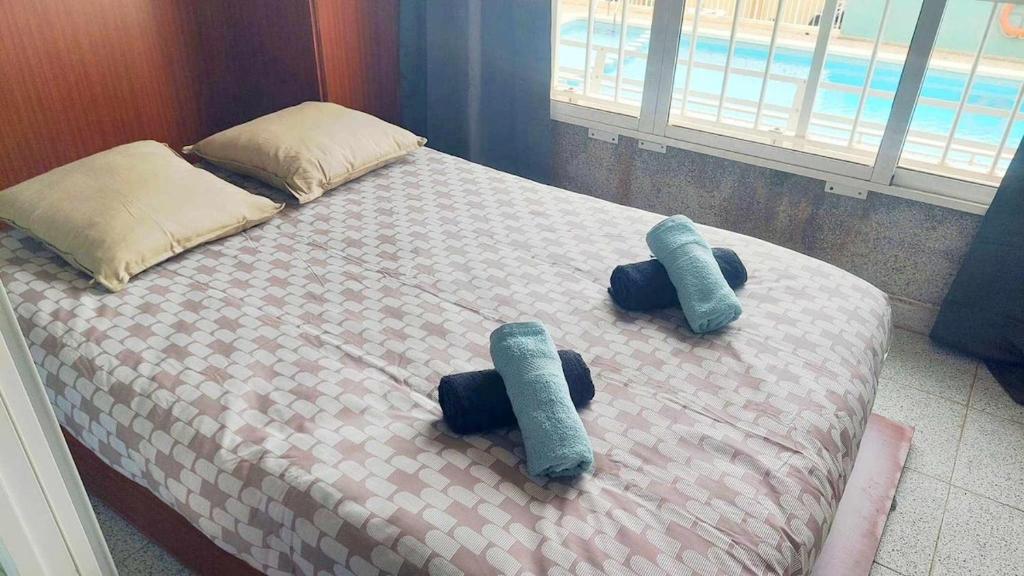 Nice studio with pool and air conditioning - 2