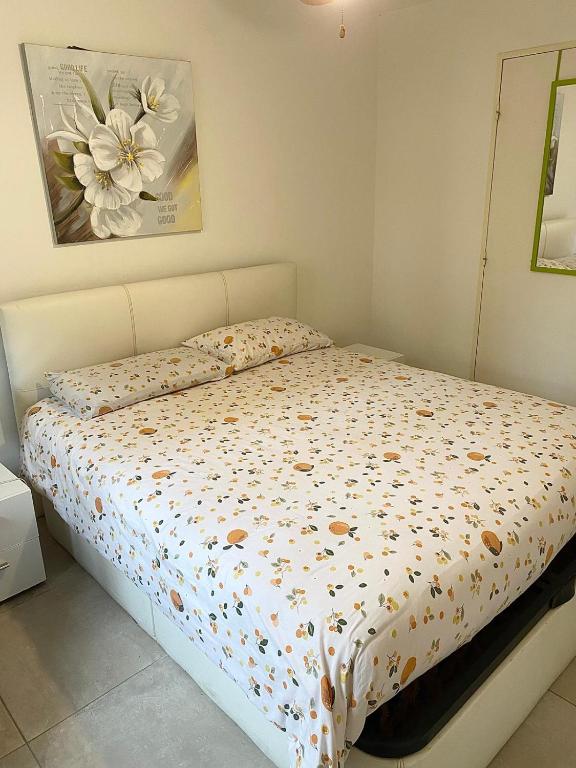 bellissimo appartamento, Nice