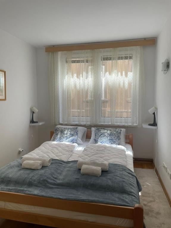 Apartment RENA - private parking - 3