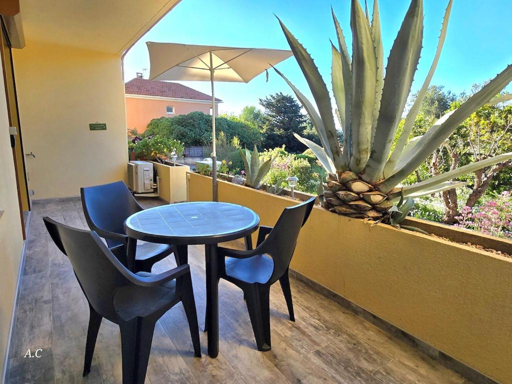 L'echapée Bleue - cosy refait a neuf, avec terrasse et vue jardin, tout se fait à pied - BY AURAconciergerie, Bandol