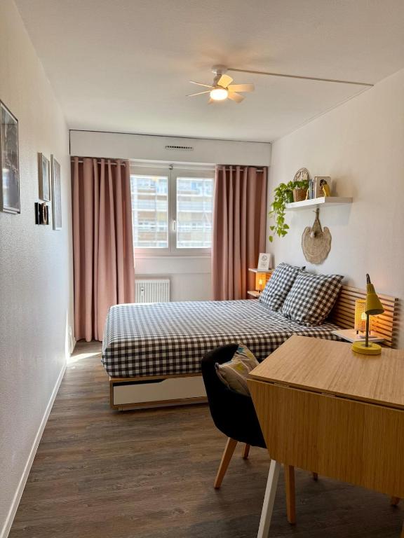 Charmant studio II - accès privé, Štrasburk