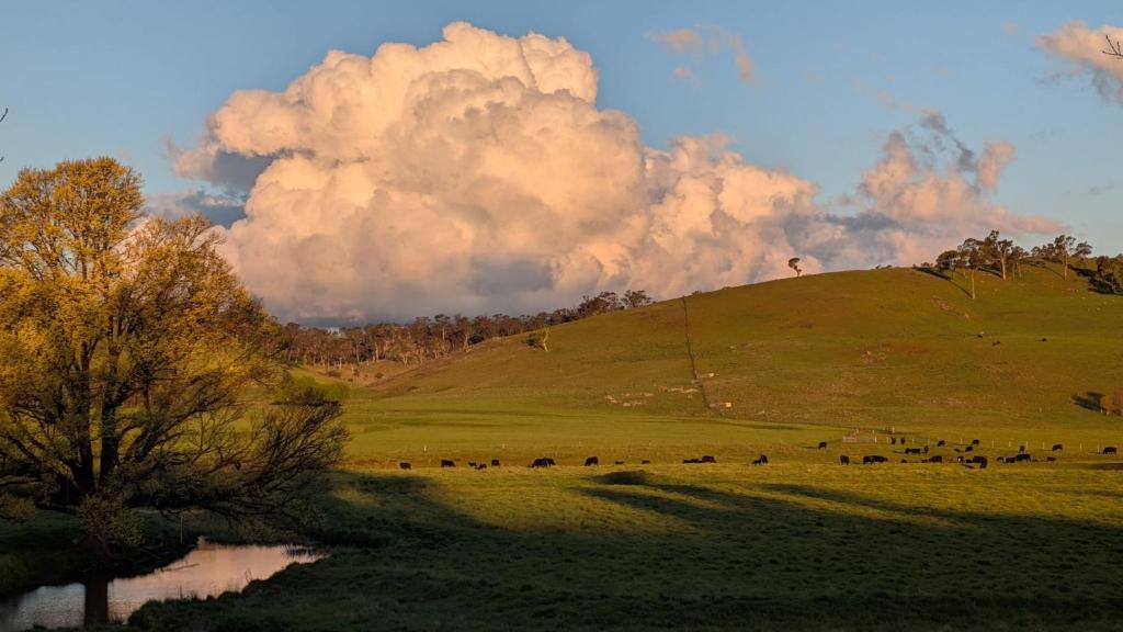 OLDGREENWELLS B&B, Walcha