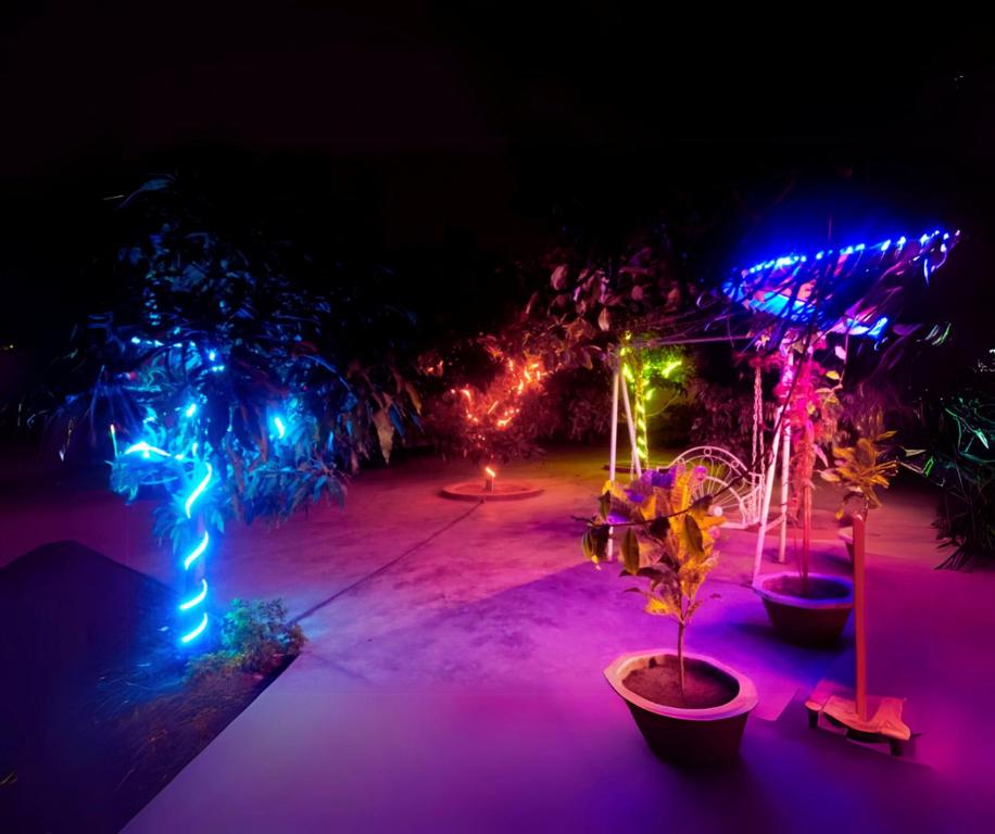 5. Garden v..