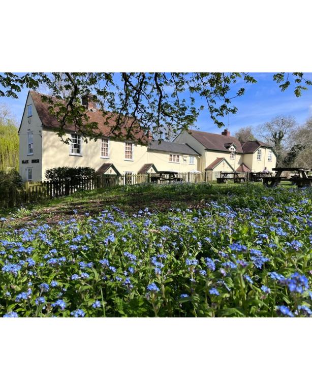 Black Horse, Brent Pelham