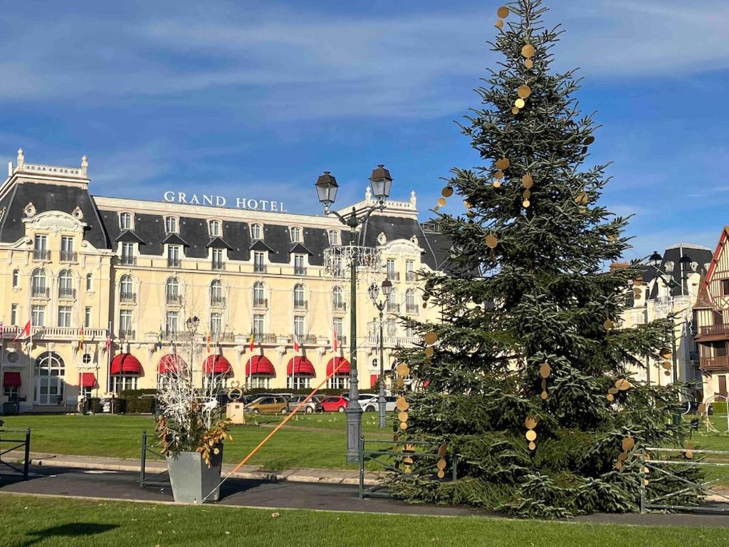 Appartement, Cabourg Plage, Centre ville - Aquilon - 3