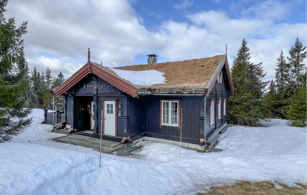 Nice Home In Sjusjøen With Wifi, Sjusjøen