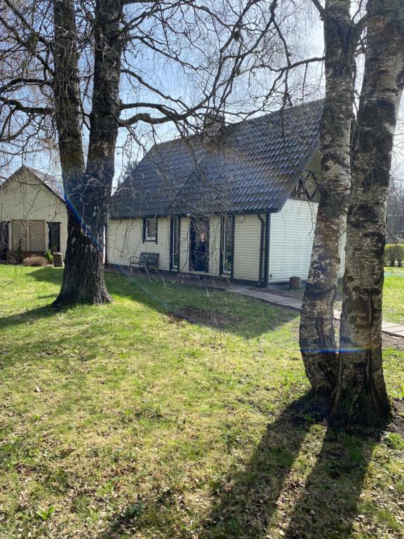 Forest Edge House, Paide