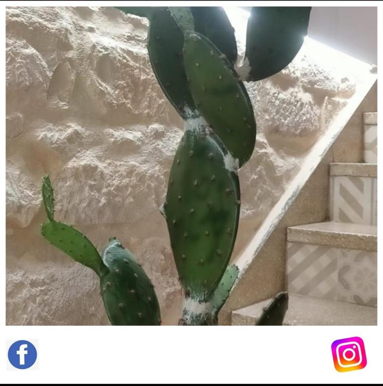La casa di Nora - 2