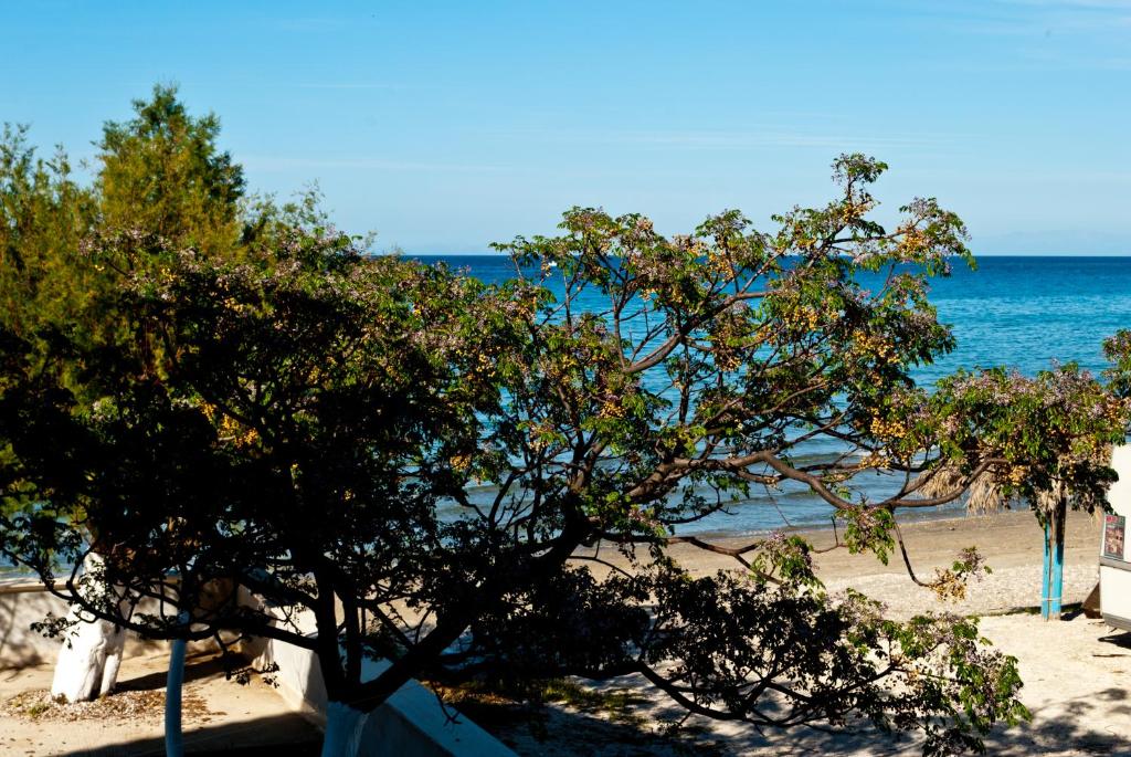 Sea Sight photo