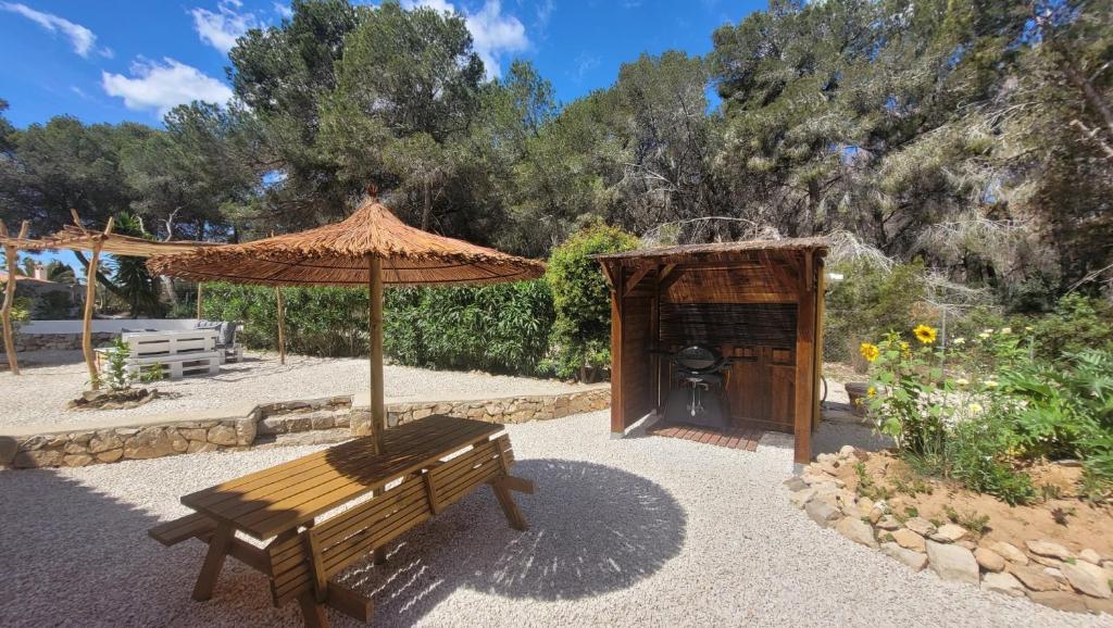 Casa Caledonia - Appartement dans villa avec jardin arboré et piscine à 500 M de la mer - 4